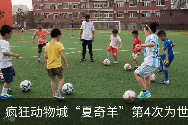 疯狂动物城“夏奇羊”第4次为世界杯开嗓，版税将全捐用于贫困儿童教育